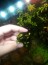 copy_477_37.jpg