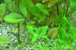 copy_676_copy_297_1-12.jpg