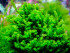 copy_741_DSCF4142.jpg