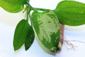 Изображение 3802.jpg