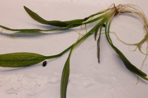 Изображение 3899.jpg