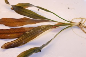 Изображение 3920.jpg