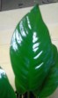 20161112_133532.jpg