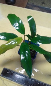 20161112_134037.jpg
