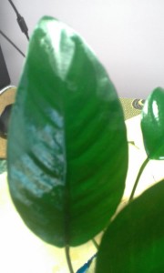 20161112_134348.jpg