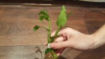 20161115_115759.jpg
