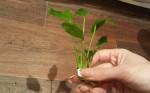 20161115_120025.jpg