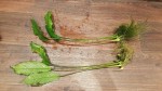 20161116_131617.jpg
