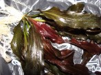 DSC00921.JPG