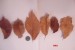 DSC05954.JPG