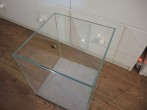 DSCN5715.JPG