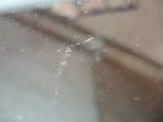 DSCN5724.JPG