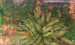 IMAG3015.jpg