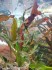 IMG-20161130-WA0004.jpg