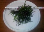 IMG_20161114_213733.jpg