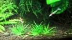 copy_104_WP_20161122_08_36_07_Pro.jpg
