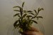copy_238_DSC2564.jpg