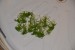 copy_25_copy_721_copy_975_copy_425_copy_520_copy_343_copy_405_copy_128_copy_694_DSC_8393.jpg