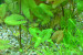 copy_345_copy_323_copy_676_copy_297_1-12.jpg