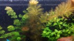 copy_43_IMG_20161108_1119201.jpg