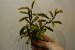 copy_531_DSC2563.jpg