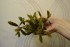copy_649_DSC2565.jpg