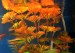 copy_745_copy_432_01-4.jpg