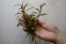 copy_816_DSC2566.jpg