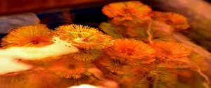 copy_928_04.jpg