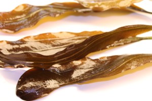 Изображение 3973.jpg