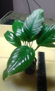 20161201_173950.jpg