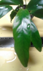 20161201_174837.jpg