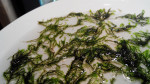 20161205113059.jpg