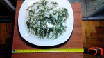 20161205113207.jpg