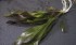 20161212_173031.jpg