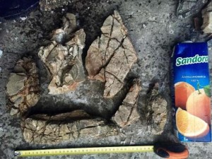 217150360_4_644x461_kamni-dlya-akvaskeypa-aquascape-stone-monten-stone-zhivotnye_rev022.jpg