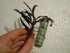 DSCN4590.JPG