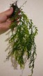 IMG_20161204_171444.jpg