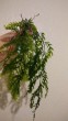 IMG_20161204_171452.jpg