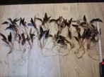 IMG_20161217_194245_800x600.jpg
