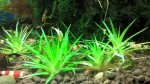 WP_20161222_15_56_20_Pro.jpg