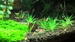 WP_20161222_15_56_29_Pro.jpg