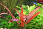 copy_616_DSC051031.jpg