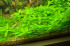 copy_729_copy_99_DSC_0503.jpg