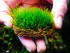 copy_88_DSCF4266.jpg