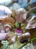 copy_903_IMG-20161129-WA0010.jpg
