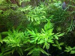 copy_916_IMG_20161112_200754.jpg
