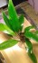 20170101_155232.jpg