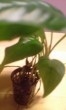 20170101_160417.jpg