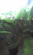 20170109_084731.jpg